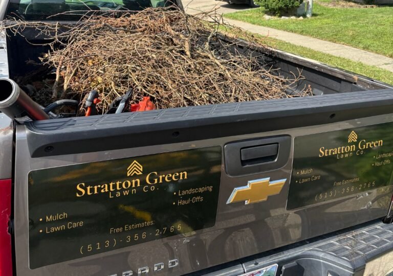 Tree Trimming
